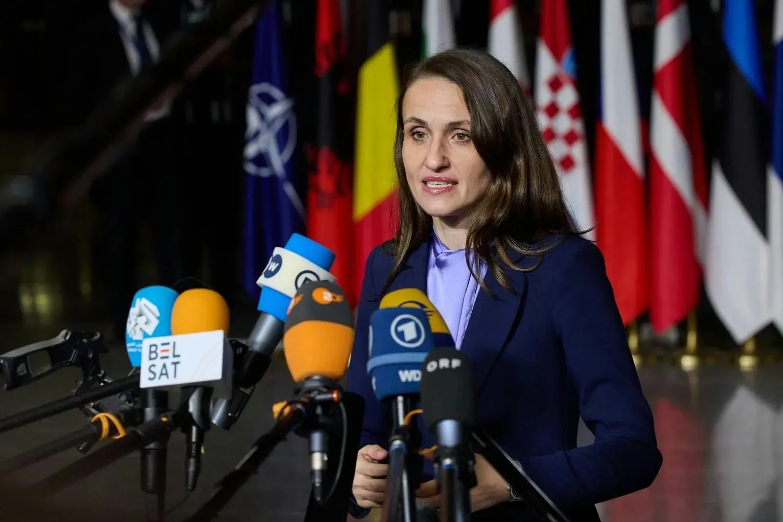 Oana Țoiu vorbește la o conferință de presă, cu steaguri în fundal.
