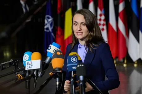 Oana Țoiu vorbește la o conferință de presă, cu steaguri în fundal.