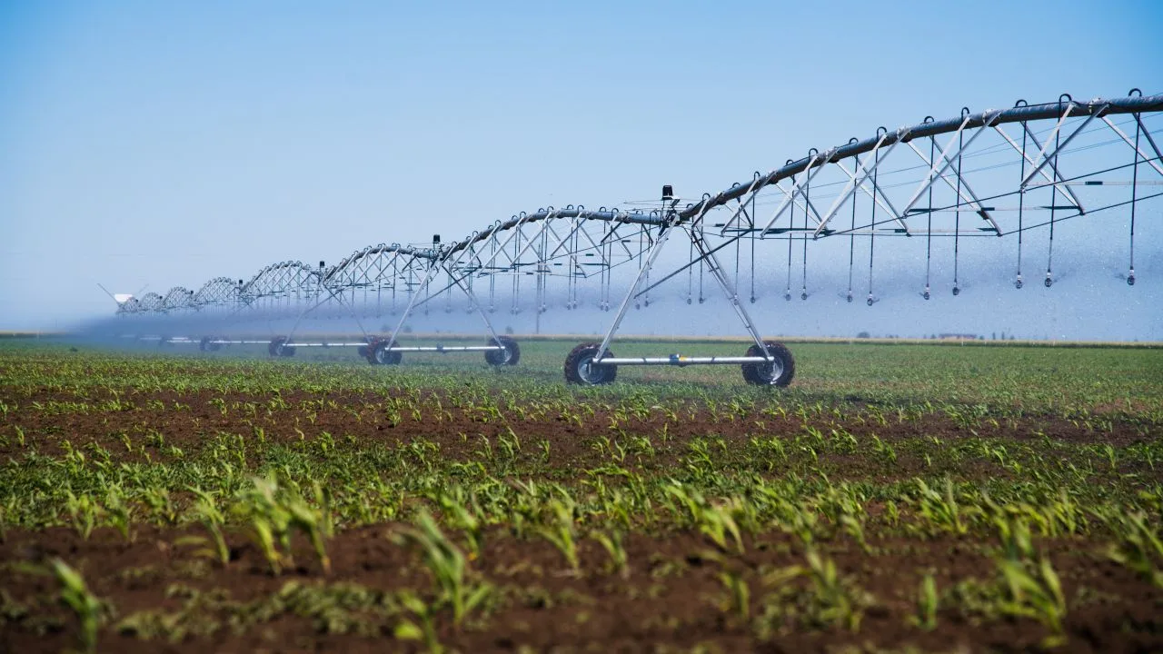 Sistem de irigații pe câmp, cu echipamente moderne pentru agricultură.