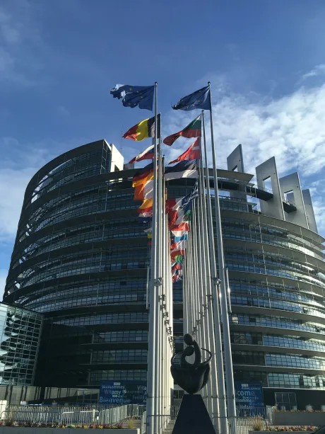 Clădirea Parlamentului European cu steaguri ale statelor membre fluturând.