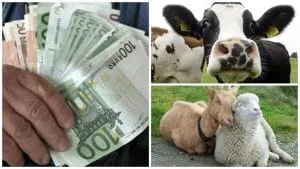 Bani și animale de fermă, simbolizând ajutoarele naționale pentru agricultură.