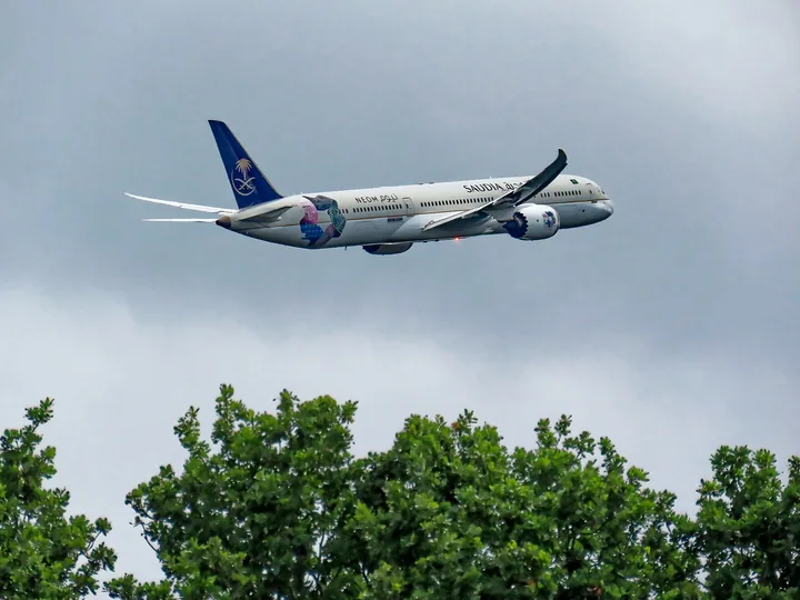 Avion de linie zburând deasupra copacilor într-o zi înnorată.