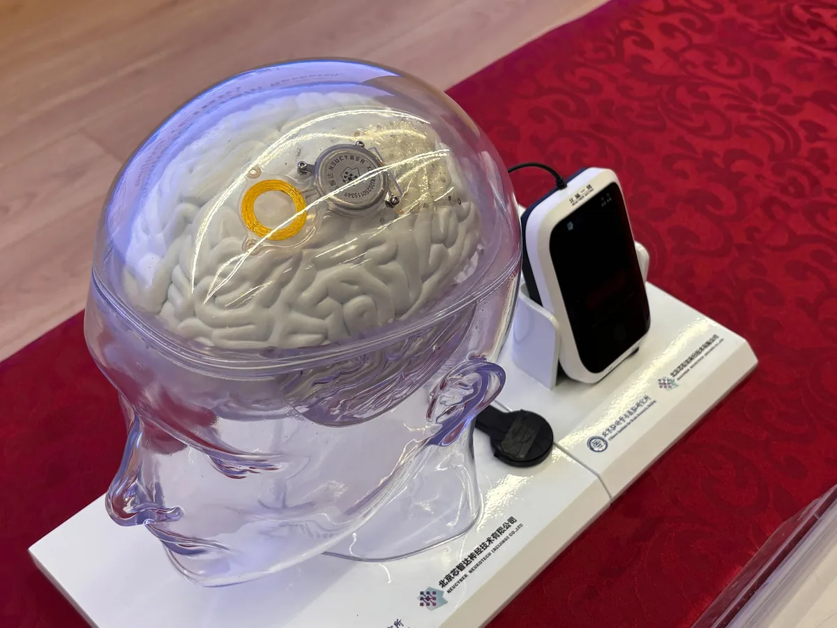 Model de cip cerebral pentru tratamentul paraliziei, prezentat în China.